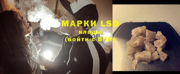 прущие грибы Алзамай