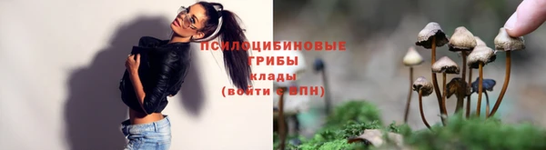 индика Аркадак