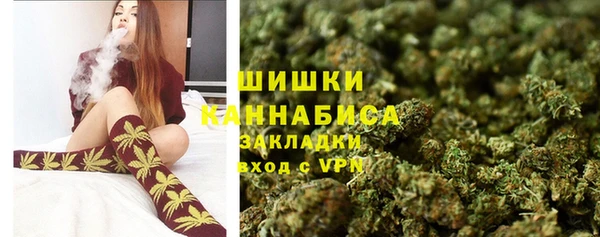 прущие грибы Алзамай