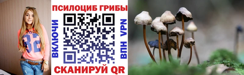 Псилоцибиновые грибы Psilocybe  Микунь 